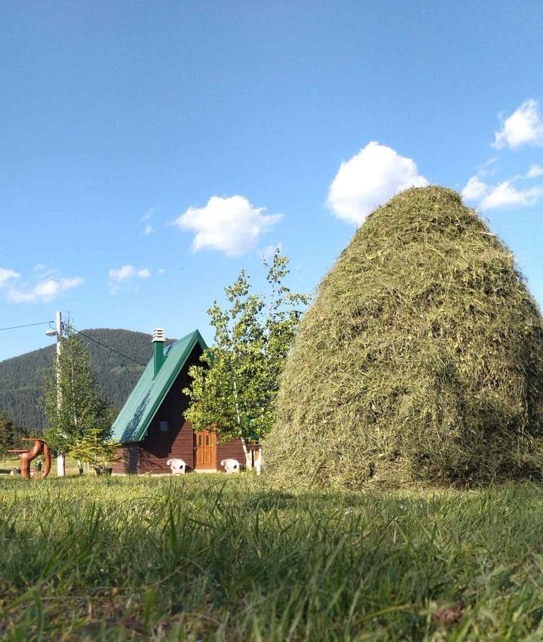 Etno Koliba Nikoleta Villa Zabljak  Luaran gambar