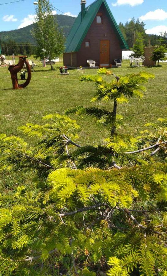 Etno Koliba Nikoleta Villa Zabljak  Luaran gambar